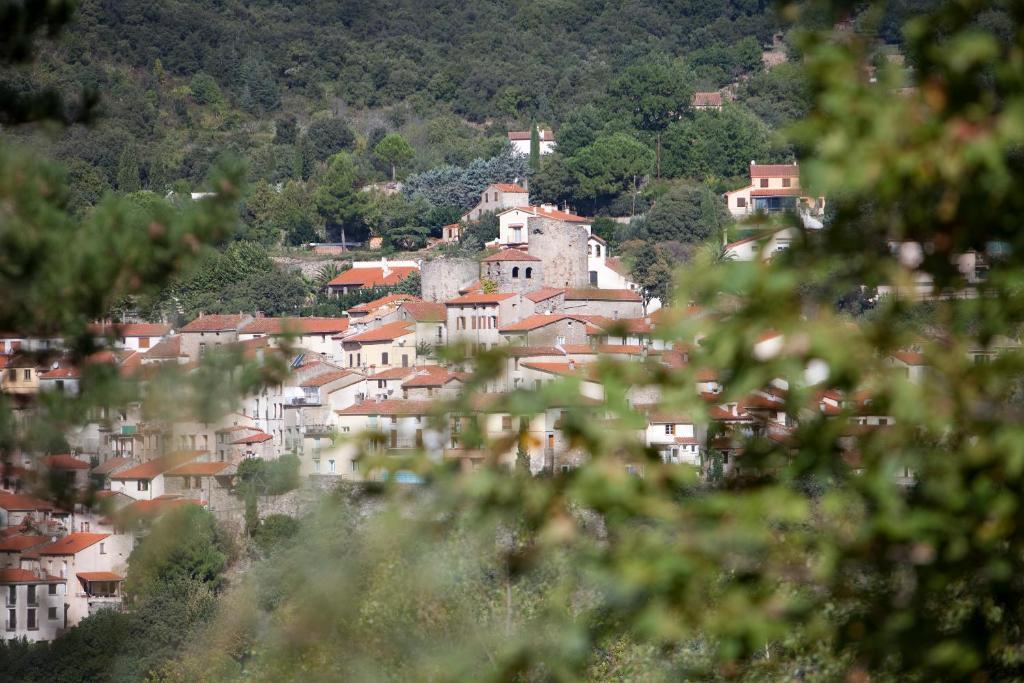 La Pinede Ξενοδοχείο Amélie-les-Bains-Palalda Δωμάτιο φωτογραφία